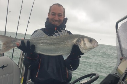 Location Semi-rigide Sillinger Silverline Dunkerque