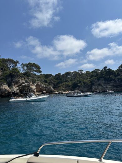 Канны Motorboat Quicksilver 755 Sundeck alt tag text