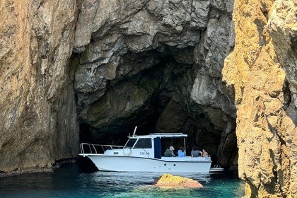 Miete Motorboot Eventboat 780 Dubrovnik