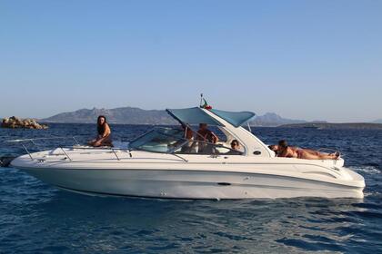 Charter Motorboat Sea Ray 290 Liscia di Vacca