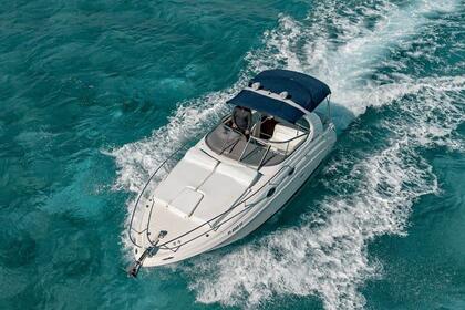 Hire Motorboat Sea Ray Sundancer 2010 Cancún