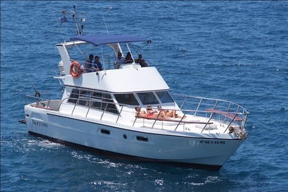 Alquiler Lancha POWLES EDICIÓN LIMITADA Los Cristianos