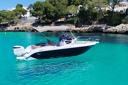 Hire Motorboat Ranieri Next 240 SH Cala d'Or