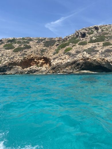 Ca'n Pastilla Without license Bayliner B542 Nereo (without licence) alt tag text