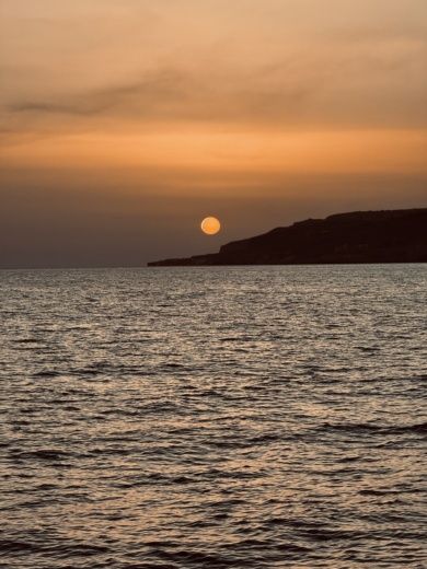 Il-Kalkara Motorboat Phoenix 29 SFX Convertible alt tag text