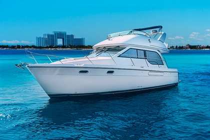 Rental Motorboat Bayliner 40 Cancún