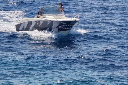 Charter Motorboat Omc Sunbird Ivan Dolac