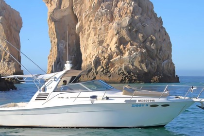 Charter Motorboat Infinity 36 Cabo San Lucas