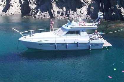 Location Bateau à moteur Ferretti 36'  Sunset Fly-Bridge Cannes