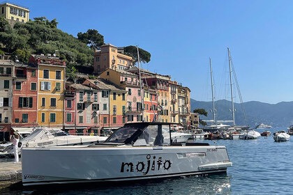 Rental Motorboat Fjord 40 Rapallo