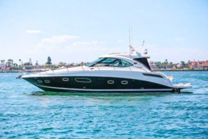Charter Motorboat Sea Ray 14m Cancún