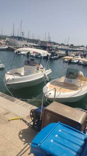 Crabonaxa Without license BLULINE BLULINE 19 alt tag text