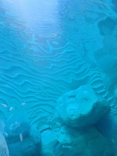 Zante Without license Aiolos 500 alt tag text