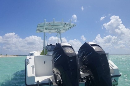 Noleggio Barca a motore Angler 26P Pointe-à-Pitre