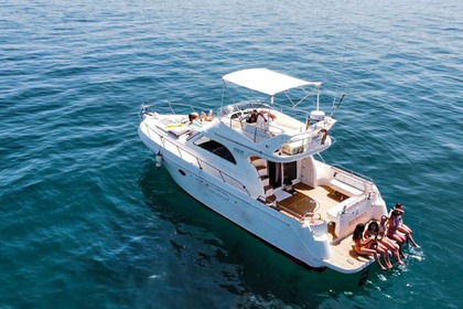 Charter Motorboat Astinor 1275 Marbella