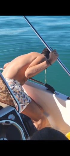 Malaga Without license VORAZ 500 alt tag text