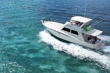 Hire Houseboat Hatteras 36 CONVERTIBLE Salerno