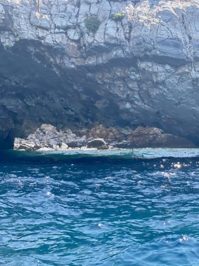 Paros RIB Typhoon Open alt tag text