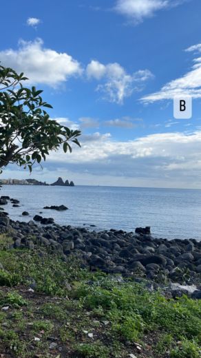 Motorboat Regal Commodore 258 Boat design plan