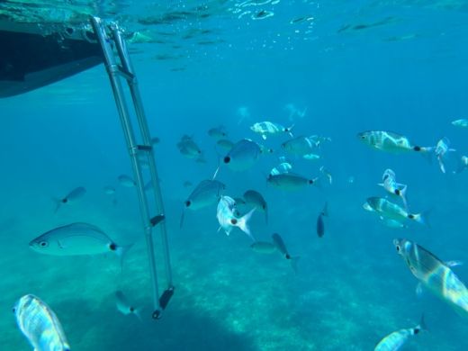 Πόρτο Βέκιο Motorboat Rand Leisure 28 alt tag text