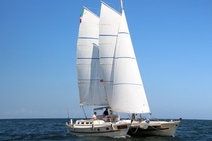 Noleggio Catamarano LWB Wharram Tiki 38 La Spezia