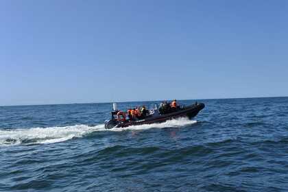 Location Semi-rigide Gemini Waverider 880 Blankenberge