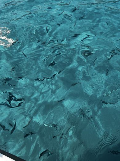 Minorka Motorboat BMA 221 X222 alt tag text