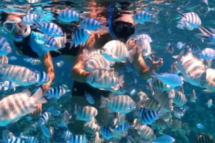 Rental Sailboat LANCER 36 Noumea