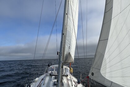 Location Voilier Dufour Yacht 35 Classic Quiberon