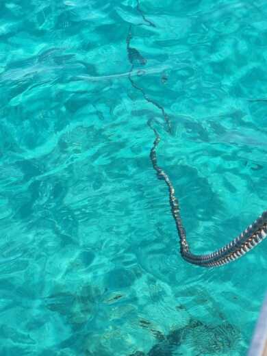 Athènes Motorboat WAVE RUNNER 50 alt tag text