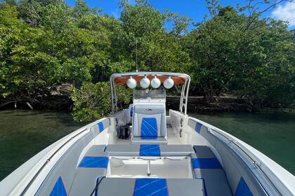 Location Bateau à moteur fusion 31 Le Robert