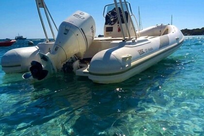 Noleggio Gommone Bsc Bsc 57 Bonifacio