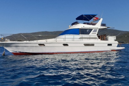 Charter Motorboat MT-51 15meter 1 cabın 1016 Torba