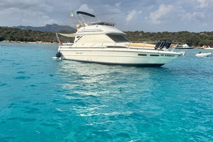 Charter Motorboat Sea Ray 340 Sedan Bridge Porto Rotondo