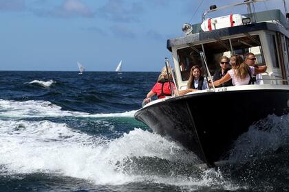 Charter Motorboat TARGA 31 Marstrand