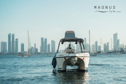 Motorboat YatchCat 2008/2015 boat plan