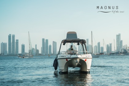 Charter Motorboat YatchCat 2008/2015 Cartagena