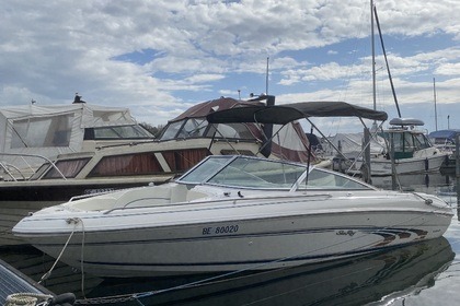 Miete Motorboot Sea Ray 190 Bow Rider Bielersee