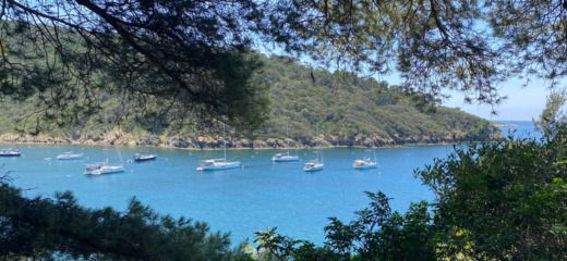 Cavalaire-sur-Mer Sailboat HANSE 385 alt tag text