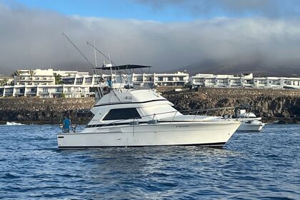 Charter Motorboat Bertram 37 Playa Blanca