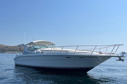 Alquiler Lancha Sea Ray 400 Sun Sport Puerto de Pollensa