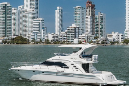 Alquiler Yate a motor Sea Ray Flybridge Cartagena