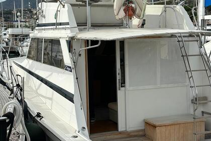 Hire Motorboat Viking 41 convertible Rosignano Marittimo
