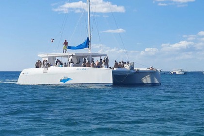 Rental Catamaran CUSTOM CAT 56 FEET CAT Bayahibe