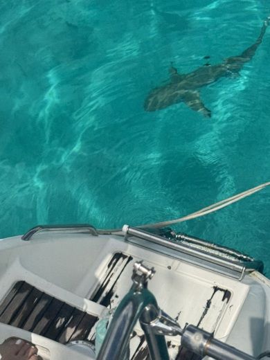 Moorea Catamaran Nautitech Mautitech 40 alt tag text