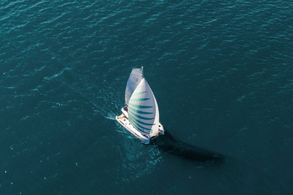 Чартер Катамаран  Lagoon 43 (3 cab) Cugnana Verde