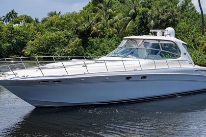 Charter Motorboat Sea Ray Sundancer 550 Tulum