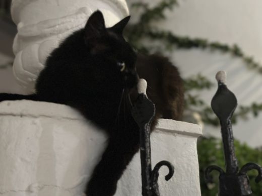 Míconos Motor Yacht Ferretti 591 alt tag text