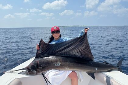 Чартер Моторная яхта Black pearl Pearl 24 Баа