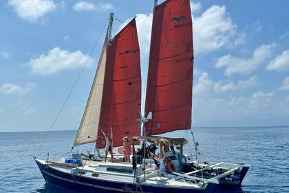 Charter Catamaran Wharram Tiki 38 San Blas Islands